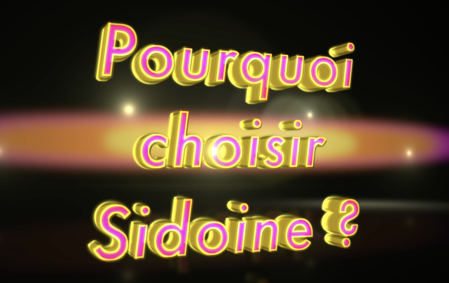 Lycée Sidoine Apollinaire Portes ouvertes 2020